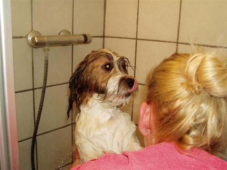 Blanding af racer Teddy *2006-2011* - Her er jeg lige i bad... billede 4