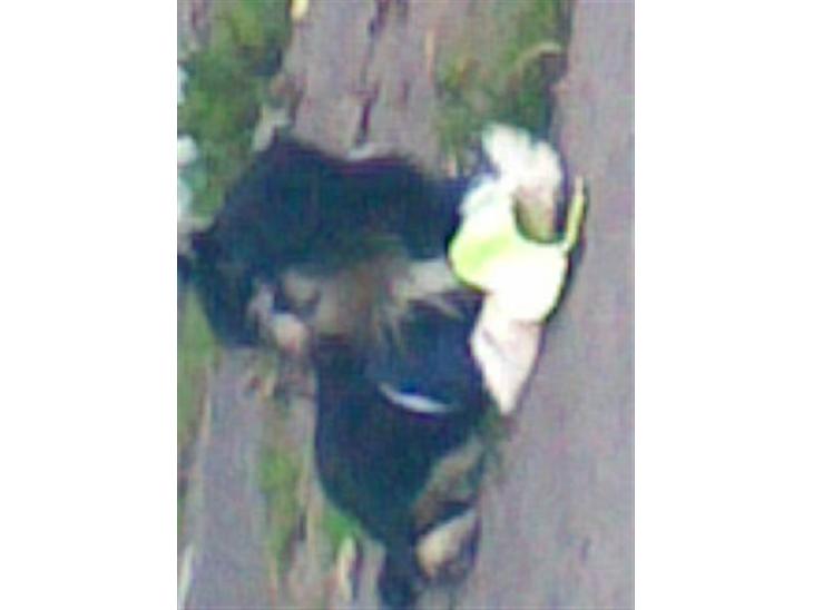 {{currentPhoto.altText}} billede {{currentPhoto.number}}