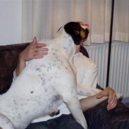 Blanding af racer ida