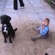 Blanding af racer Jason