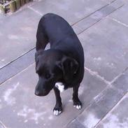 Blanding af racer Jason