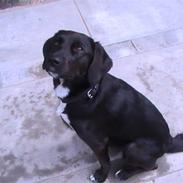 Blanding af racer Jason