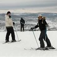 Labrador retriever Dino og Sasja