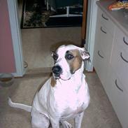 Blanding af racer Tyson