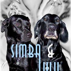 Blanding af racer Simba