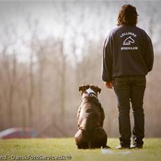 Blanding af racer Cody R.I.P