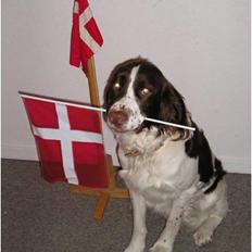 Blanding af racer Charlie