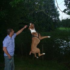 Blanding af racer Tyson