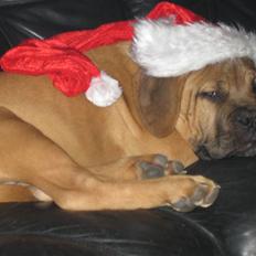 Blanding af racer zacko