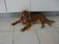 Cavalier king charles spaniel Mille DØD den 29 Juni 2012. - Her ligger Mille sammen med en af vores andre hunde som hedder Molly er hun ikke dejlig.