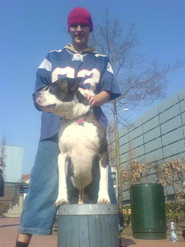 Blanding af racer jack billede 4