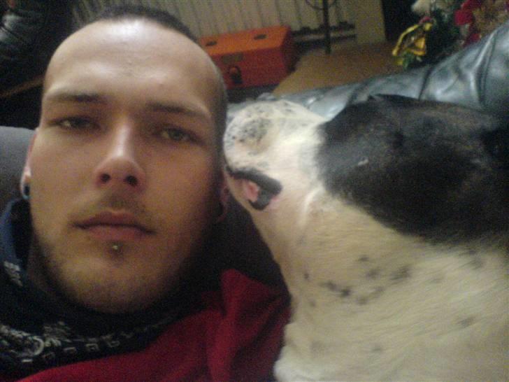 Blanding af racer jack - ja hvad kan man sige han er bare smuk billede 5