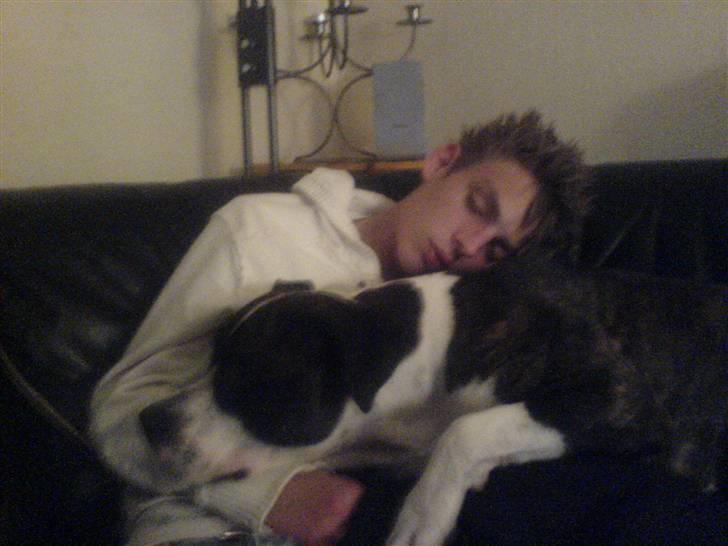 Blanding af racer jack - så sover vi lige lidt billede 14