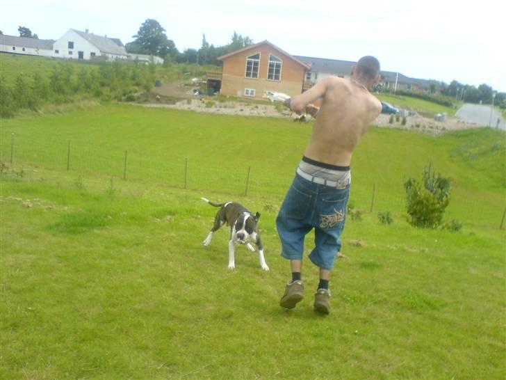 Blanding af racer jack billede 16