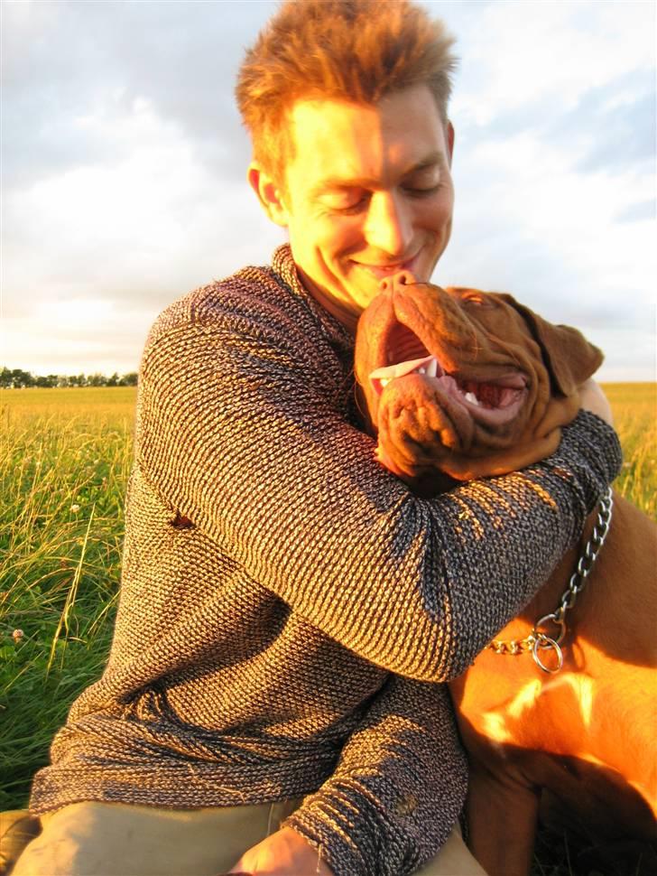 Dogue de bordeaux Calypso - Oh daddy..... billede 7