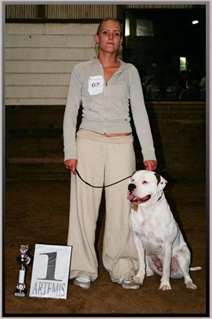 Amerikansk bulldog Bella R.I.P billede 19