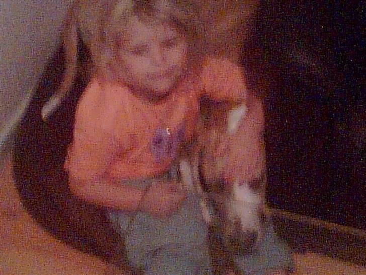 Grand danois Brutus - Kirstine alias hottie ved og putte sin hund... billede 12