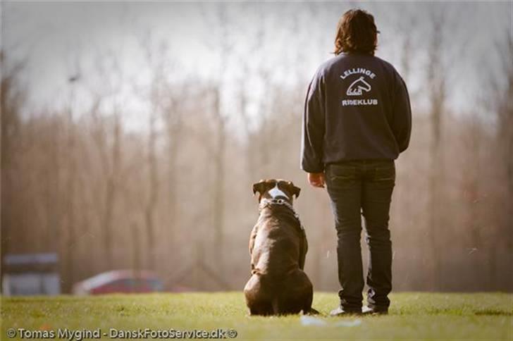 Blanding af racer Cody R.I.P - Billedet taget af Tomas Mygid Danskfotoservice.dk billede 3