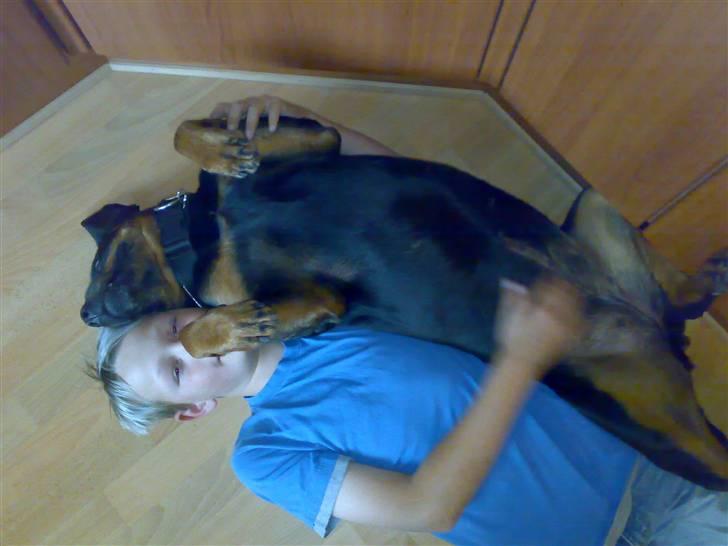 Rottweiler Marco`s Jessie billede 18