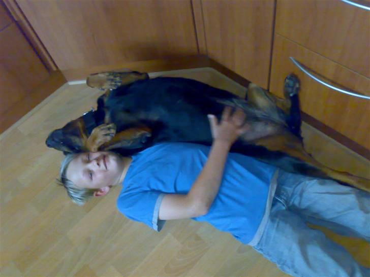 Rottweiler Marco`s Jessie billede 19