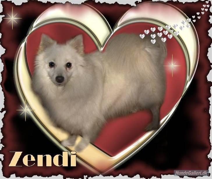 Japansk spids Zendi R.I.P - Lavet af Bitten. billede 18