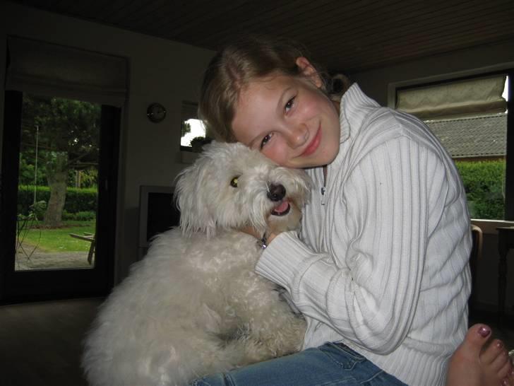 Coton de tulear Marni Dalbox Coton Unique - Mig og Celina smiler til fotografen - (blitzen får mit øje til at lyse op) billede 6