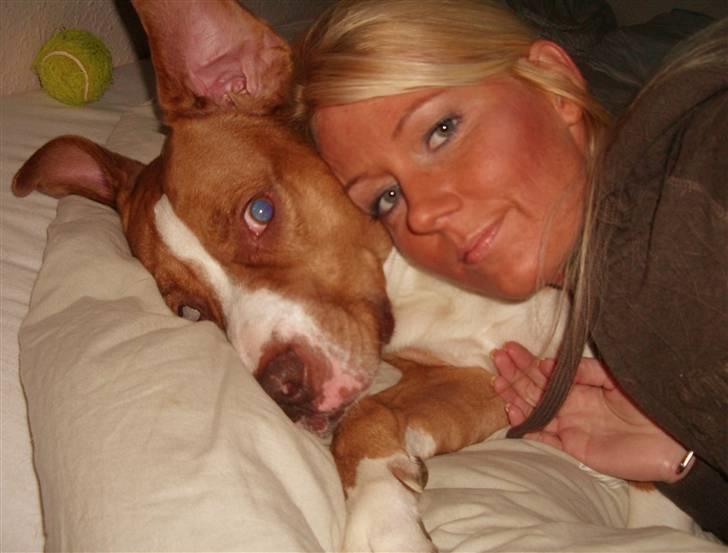 Blanding af racer Tyson - Vi passer bare så godt sammen... billede 8