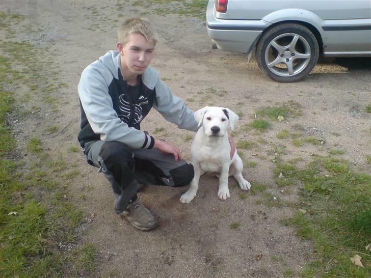 Blanding af racer Joe billede 3