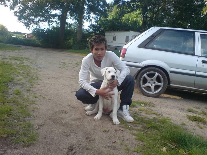 Blanding af racer Joe billede 4