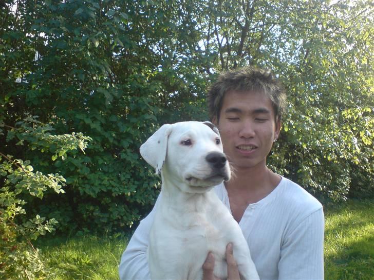 Blanding af racer Joe billede 5