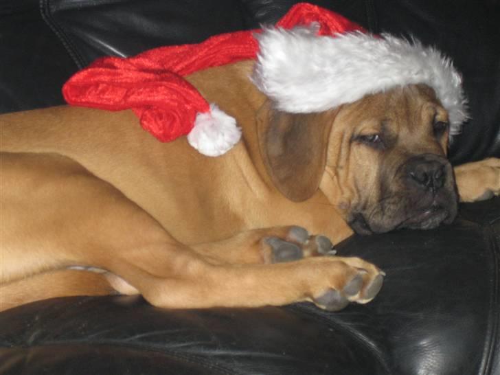 Blanding af racer zacko billede 1