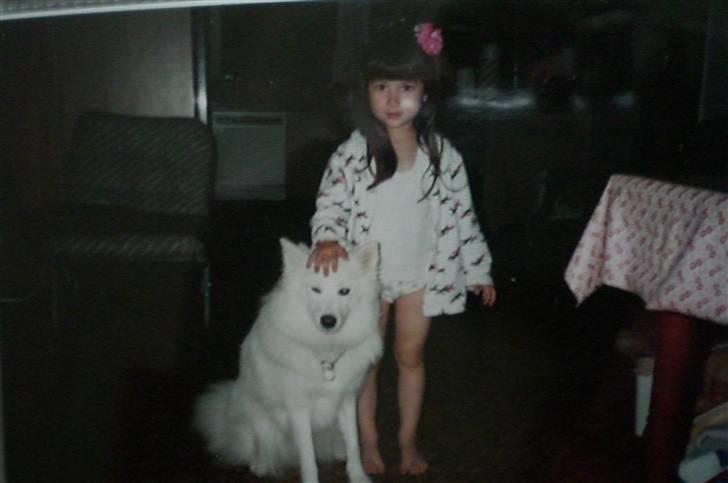 Samojedhund Zita - Zita og min kusine Mette - der nu er ca. 21-22 år billede 3