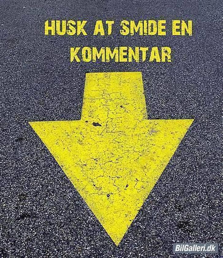 Blanding af racer Hector *DØD 28.10.07* RIP billede 20