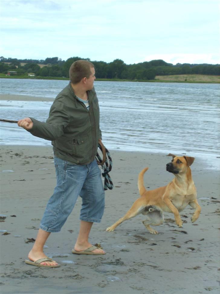 Blanding af racer Cato Bønnelykke  - kast  kast   for s****.... billede 11