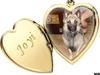 Belgisk hyrdehund joyi [Tidl. hund]