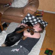 Rottweiler Nikita, dornenhof R.I.P