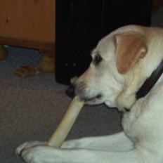 Blanding af racer Rockie