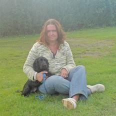 Cocker spaniel Sofus