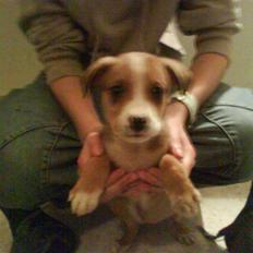 Blanding af racer trunte væk;'(