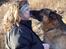 Schæferhund Nemo 2/3-97 - 22/9-07 - Kysser lige mor. NYT 24/9