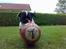 Blanding af racer Coco (21.05.07 - 01.05.19)  - min fodbold og jeg