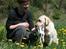 Labrador retriever Juelsgaard's Coat of Many - Forårstræning