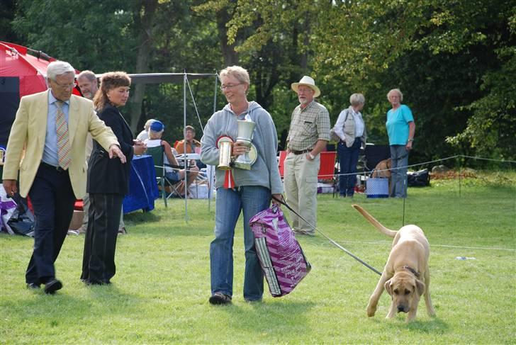 Broholmer Tjalfe - Her bliver Tjalfe årets hvalp aug. 07 billede 12