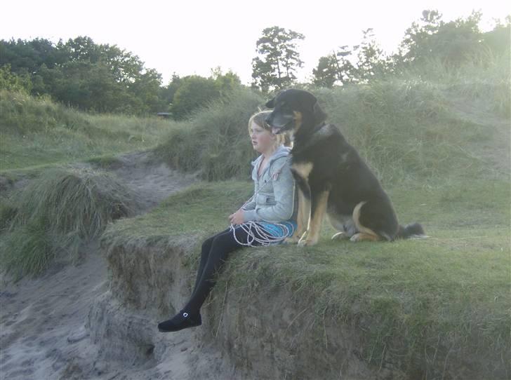 Blanding af racer valde billede 7