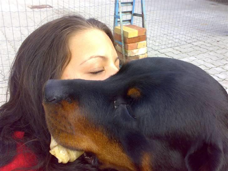 Rottweiler Kakestto's Cheetah *RIP* - Baby og Mor :) billede 11