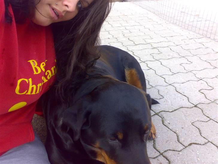 Rottweiler Kakestto's Cheetah *RIP* - Baby og Mor :) billede 12