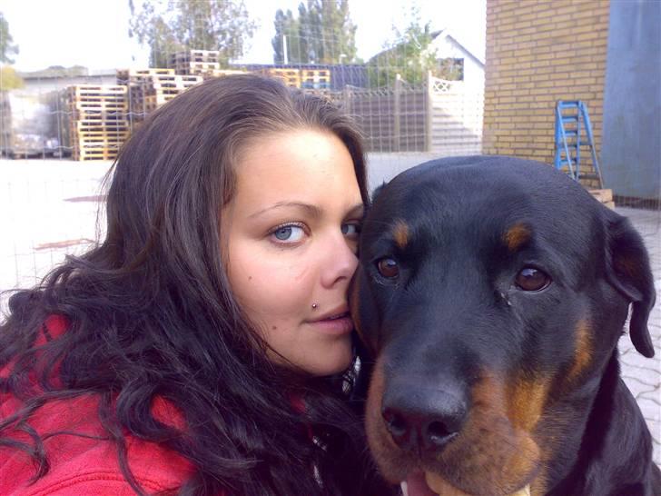 Rottweiler Kakestto's Cheetah *RIP* - Baby og Mor igen :) billede 13
