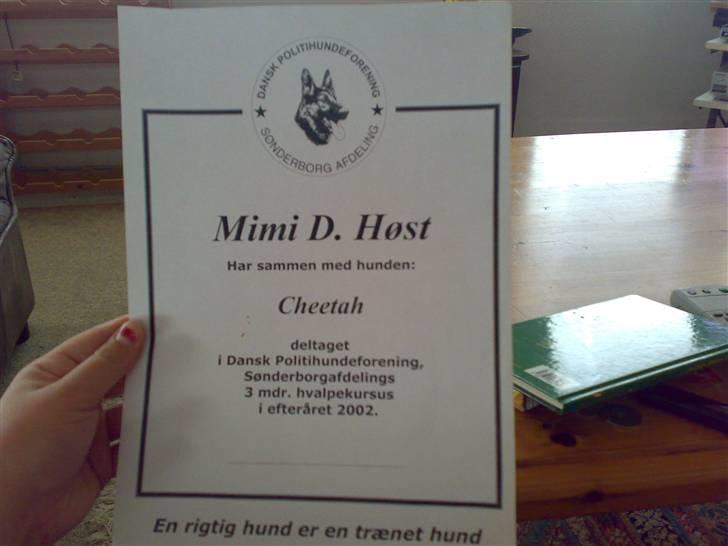 Rottweiler Kakestto's Cheetah *RIP* - Vores bevis:) billede 14