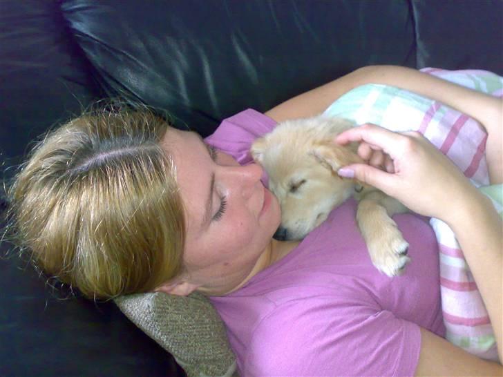 Blanding af racer Maggie billede 9