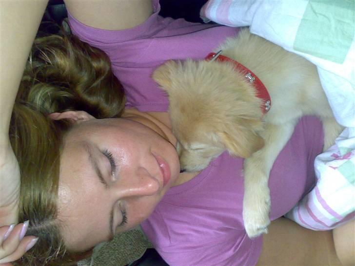 Blanding af racer Maggie billede 10